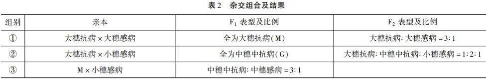 例析考查科学思维的2026年高考生物真题的解题突破-第9张图片-四季读书网 例析考查科学思维的2026年高考生物真题的解题突破-第9张图片-四季读书网