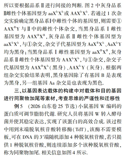 例析考查科学思维的2026年高考生物真题的解题突破-第15张图片-四季读书网 例析考查科学思维的2026年高考生物真题的解题突破-第15张图片-四季读书网