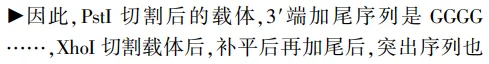 例析考查科学思维的2026年高考生物真题的解题突破-第19张图片-四季读书网 例析考查科学思维的2026年高考生物真题的解题突破-第19张图片-四季读书网