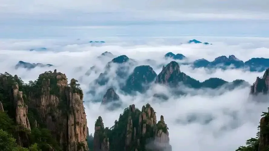 【中考作文精析】追求梦想,执着亮剑-第1张图片-四季读书网