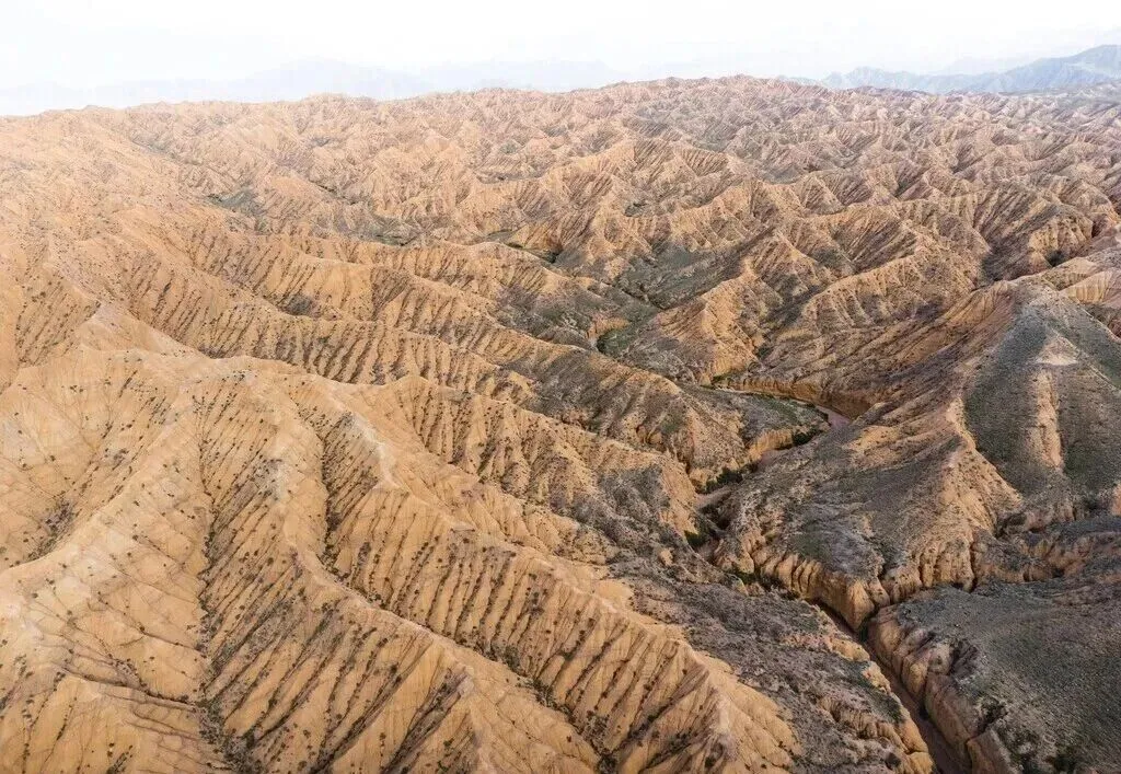 高考地理中的土壤类型-第12张图片-四季读书网