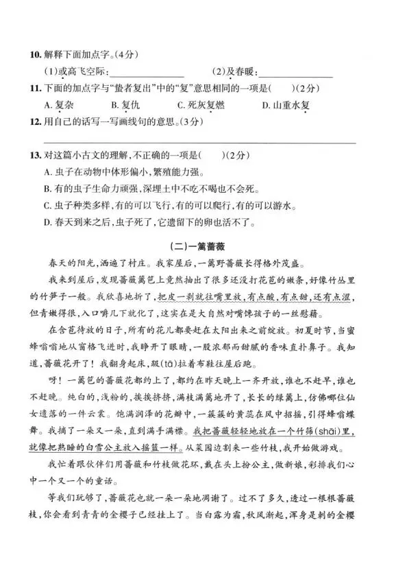 四上语文全册综合试卷-第29张图片-四季读书网