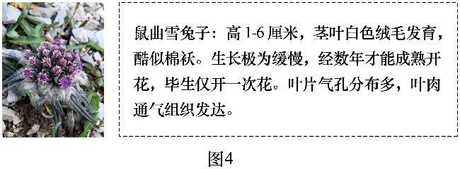 2027届高考地理一轮复习精讲精练第15讲 构造地貌的形成-第58张图片-四季读书网 2027届高考地理一轮复习精讲精练第15讲 构造地貌的形成-第58张图片-四季读书网