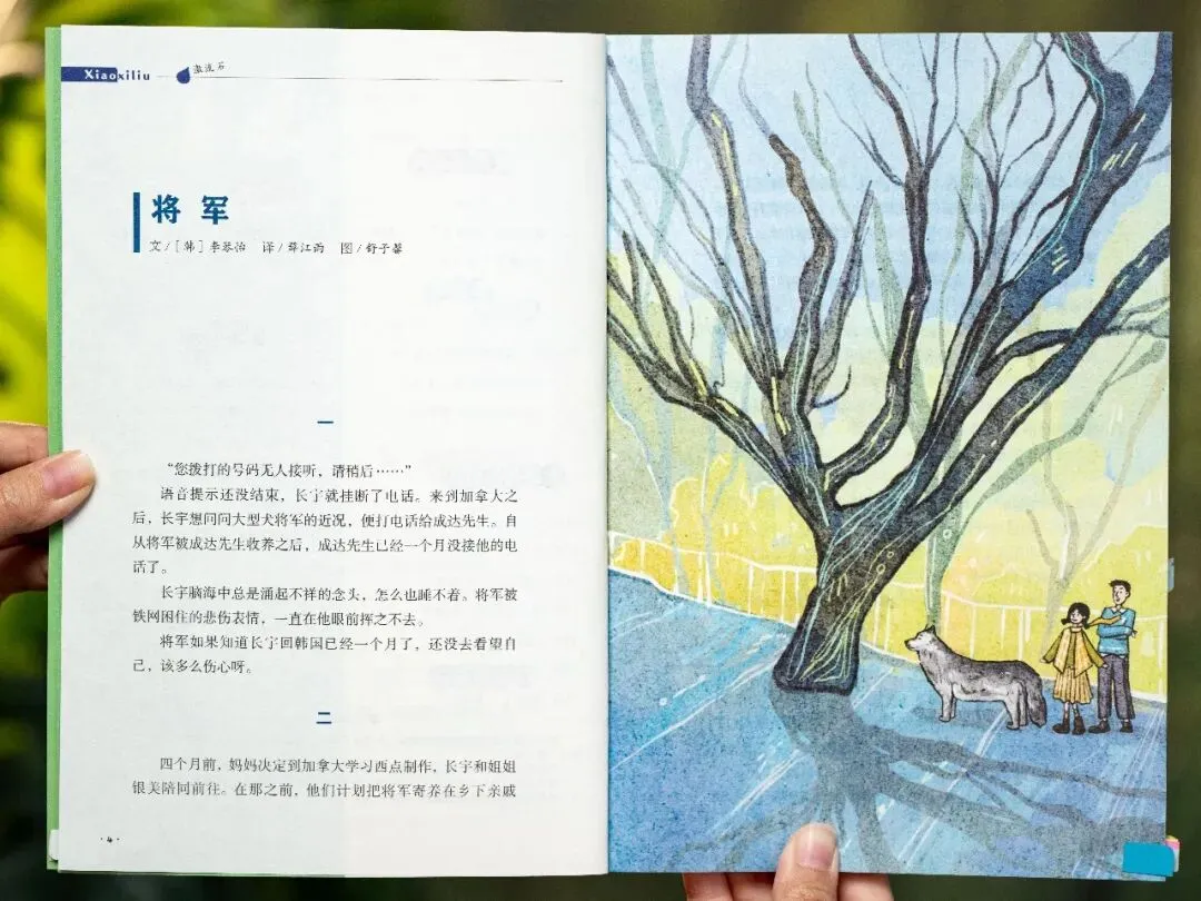 老大高考结束后,妈妈突然惊觉:欠老二的这笔“账”,早晚要还-第52张图片-四季读书网