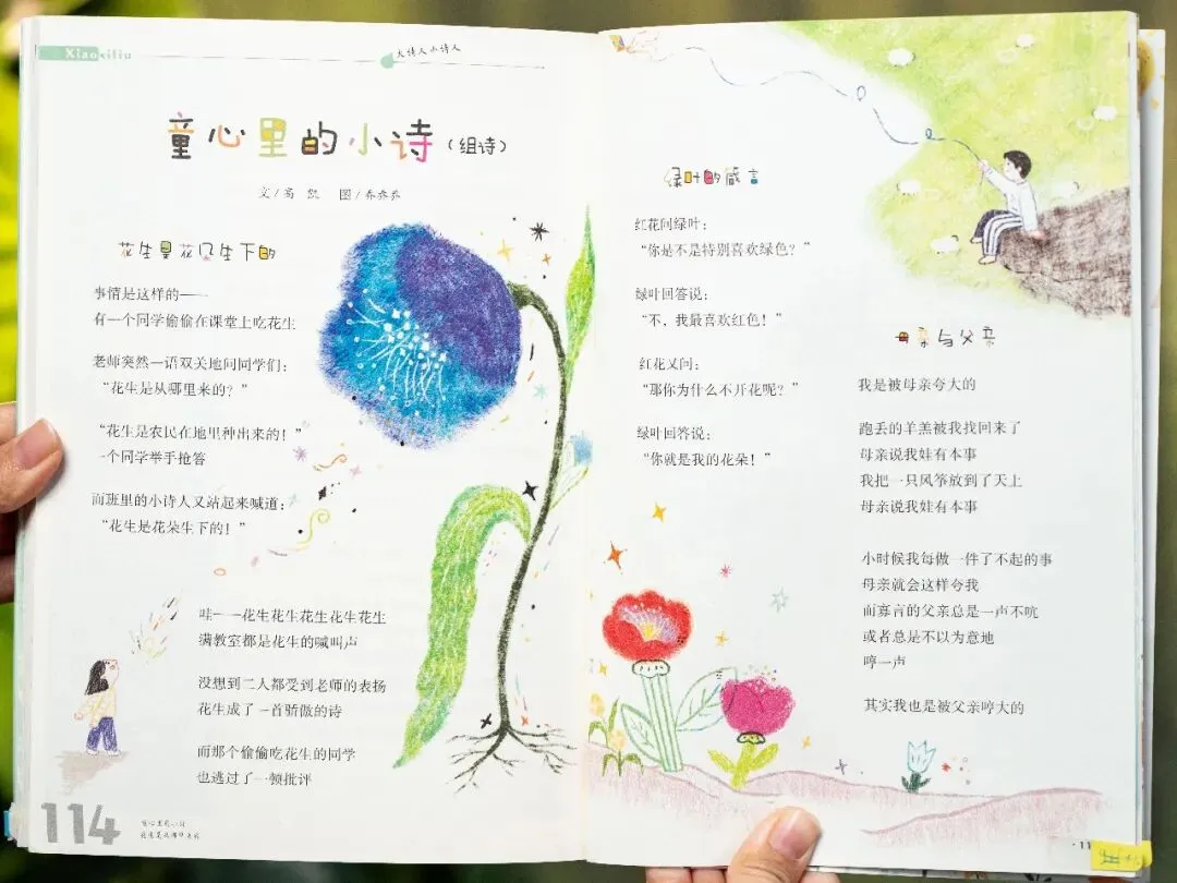 老大高考结束后,妈妈突然惊觉:欠老二的这笔“账”,早晚要还-第63张图片-四季读书网