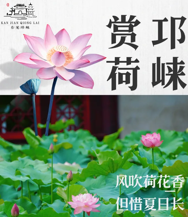6月23日22点可查!四川省2024年高考成绩查询方式公布-第4张图片-四季读书网 6月23日22点可查!四川省2024年高考成绩查询方式公布-第4张图片-四季读书网
