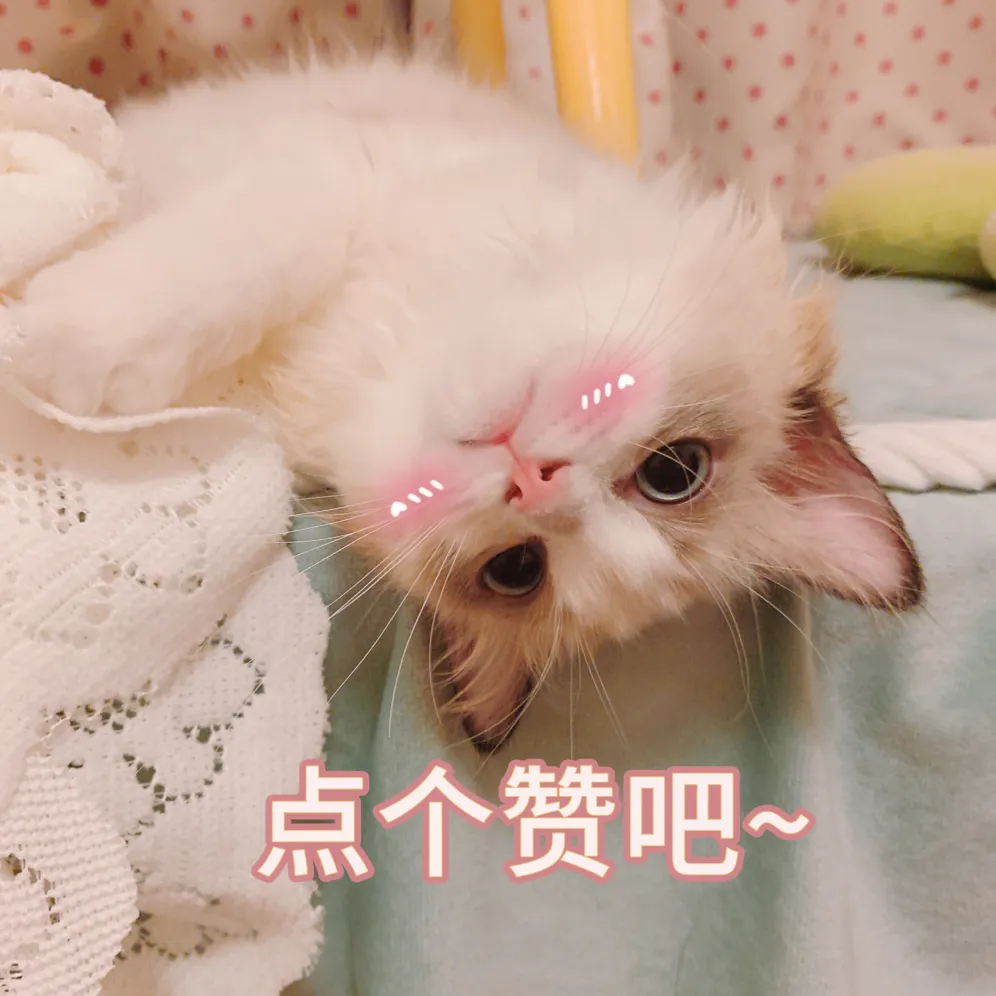 重庆明确了!不得组织周考、月考!模拟考试成绩不与升学挂钩!-第11张图片-四季读书网