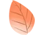 解码中招真题 赋能教师成长——南阳市第十完全学校初中部承办宛城区地理学科中招质量分析专题研讨活动-第30张图片-四季读书网