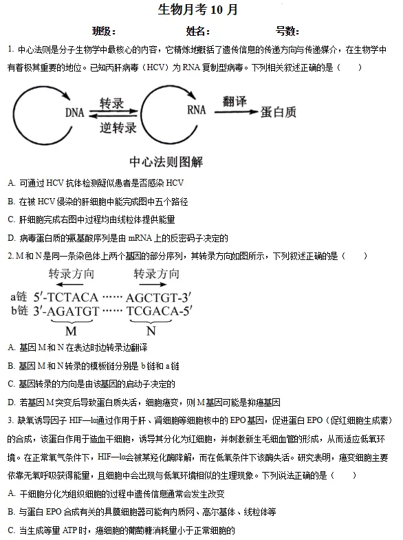 往年泉州一中/培元高三10月月考各科试卷+答案!-第15张图片-四季读书网 往年泉州一中/培元高三10月月考各科试卷+答案!-第15张图片-四季读书网