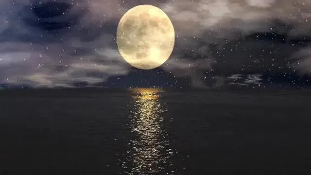初一十五千万不要钓鱼-第4张图片-四季读书网 初一十五千万不要钓鱼-第4张图片-四季读书网