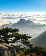高考地理|地理怎么学?地理有趣,学习有方法.全网通用-第9张图片-四季读书网