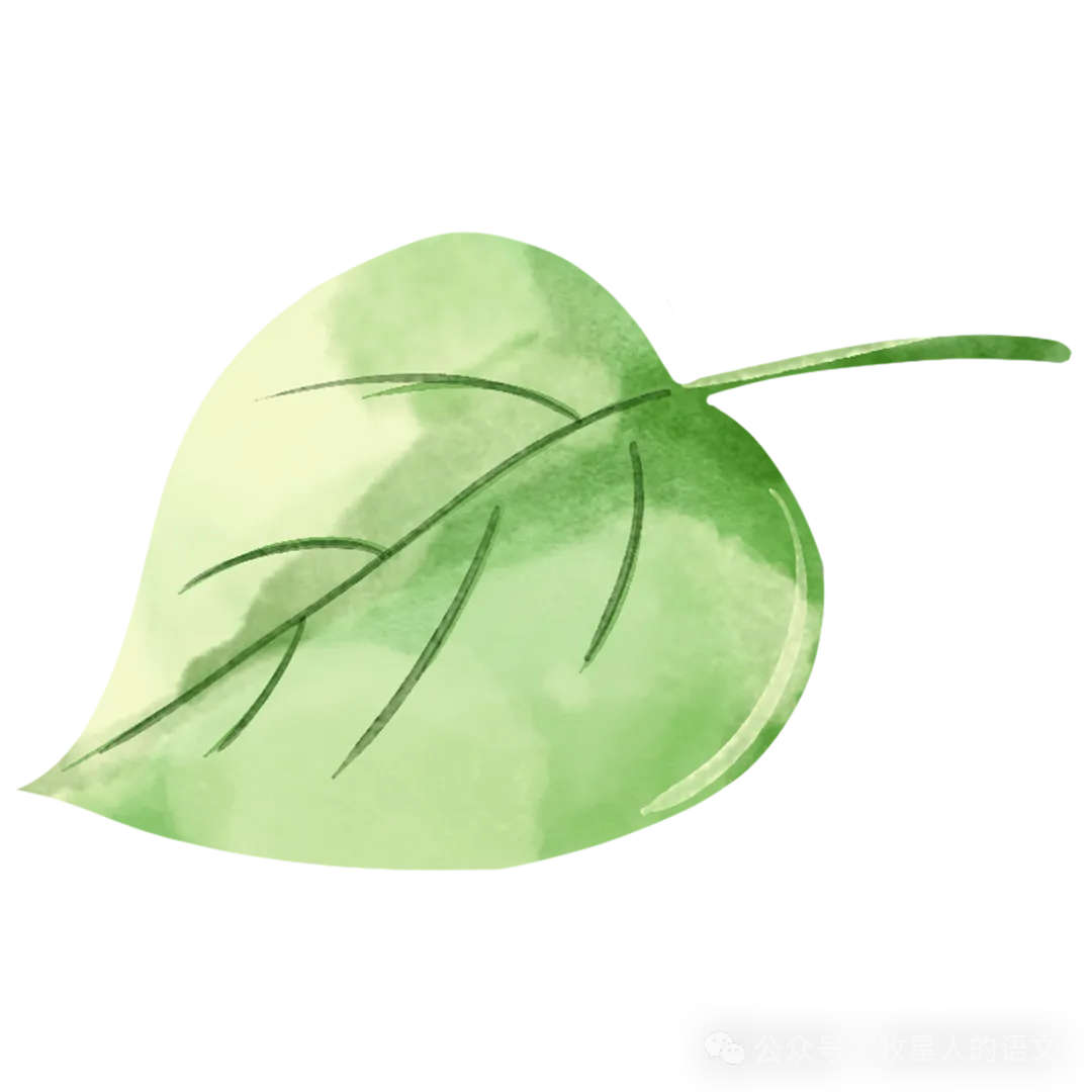 高考作文素材:“殷玉珍与赛考斯的故事”主题阅读及写作运用-第2张图片-四季读书网 高考作文素材:“殷玉珍与赛考斯的故事”主题阅读及写作运用-第2张图片-四季读书网