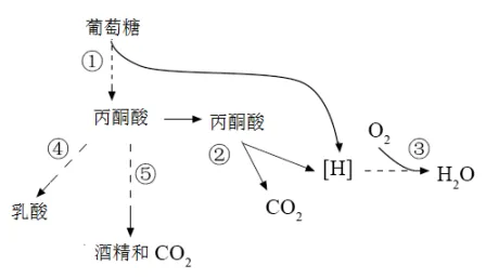 每日一练 | 高考生物专题训练突破!(42)-第2张图片-四季读书网