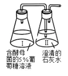 每日一练 | 高考生物专题训练突破!(42)-第3张图片-四季读书网