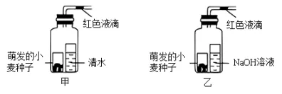 每日一练 | 高考生物专题训练突破!(42)-第4张图片-四季读书网