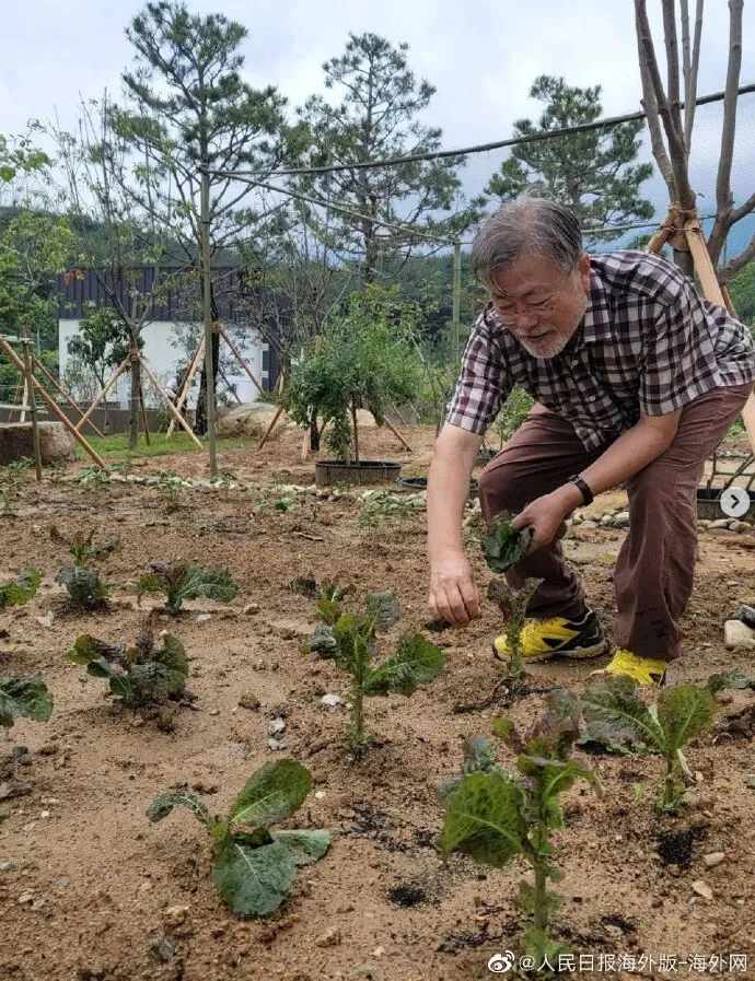 初二学生网购花光母亲12万手术费【看世界·新闻早知道】-第13张图片-四季读书网