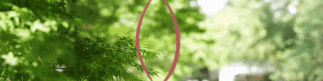 初二学生结婚办婚宴!当地回应:确属未成年-第2张图片-四季读书网 初二学生结婚办婚宴!当地回应:确属未成年-第2张图片-四季读书网