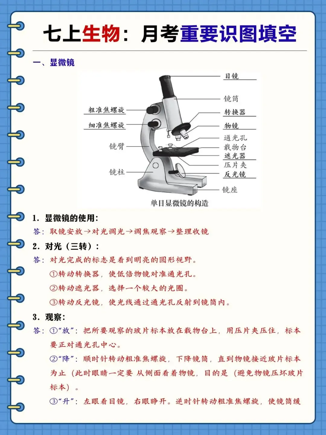 初一新版 2026 七上全科各科复习必背考点汇总,可打印版!-第16张图片-四季读书网