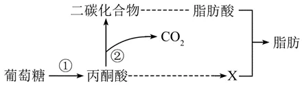 【试卷】2026年9月月考高一生物学-第3张图片-四季读书网 【试卷】2026年9月月考高一生物学-第3张图片-四季读书网