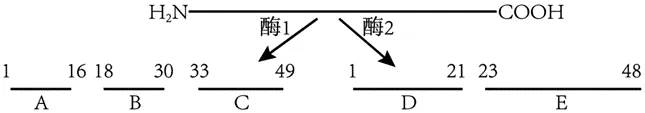 【试卷】2026年9月月考高一生物学-第4张图片-四季读书网 【试卷】2026年9月月考高一生物学-第4张图片-四季读书网