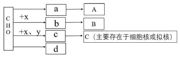 【试卷】2026年9月月考高一生物学-第8张图片-四季读书网 【试卷】2026年9月月考高一生物学-第8张图片-四季读书网