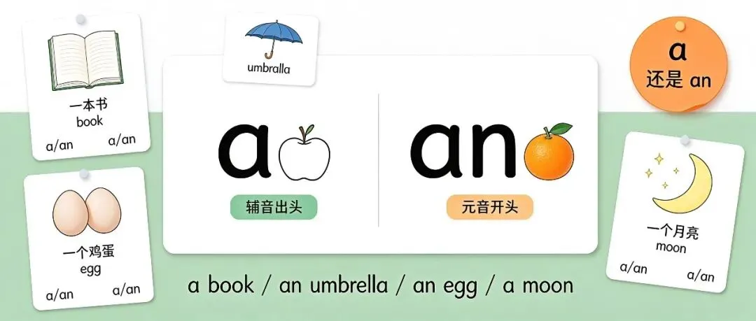小学英语真题解析|a 还是 an?两道真题讲透不定冠词怎么选-第1张图片-四季读书网