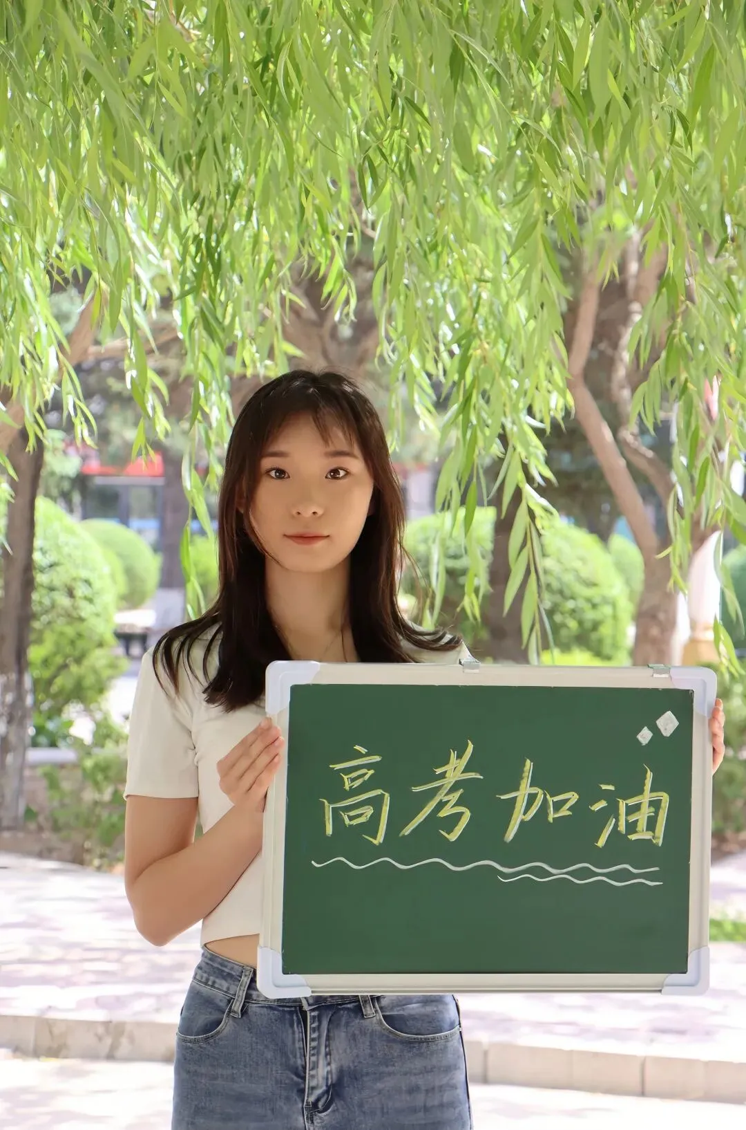 高考倒计时10天 | 希君生羽翼 一化北溟鱼-第18张图片-四季读书网