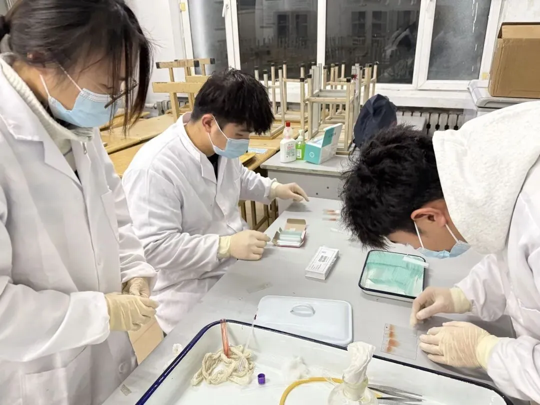 不再跟风扎堆!26 年高考暴跌四大专业,就业短板全曝光!-第1张图片-四季读书网 不再跟风扎堆!26 年高考暴跌四大专业,就业短板全曝光!-第1张图片-四季读书网