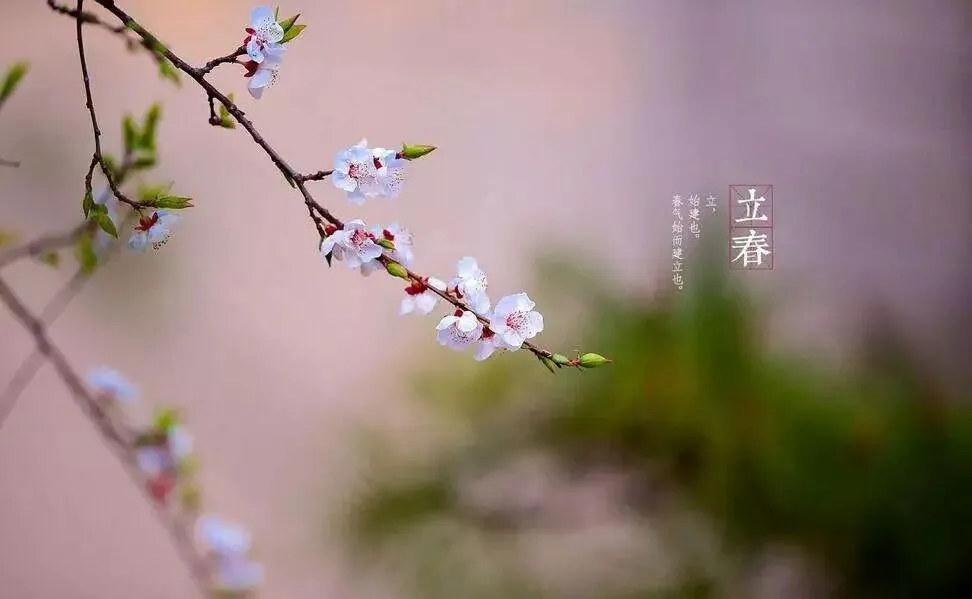 明日立春!春节只晴一天?!初二初三差10℃!还有两件事巧了-第6张图片-四季读书网