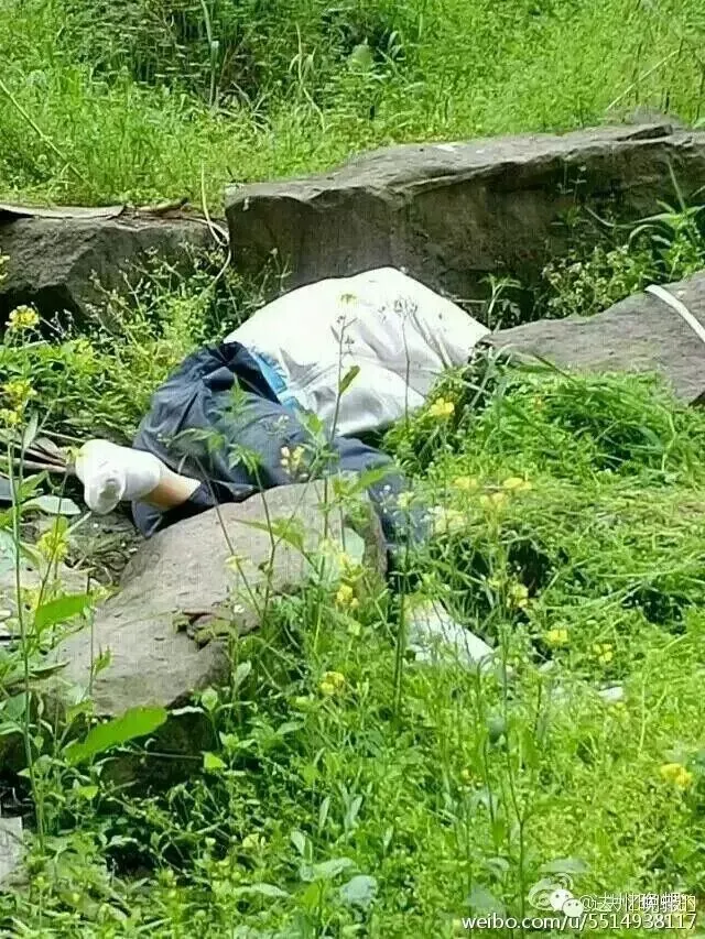 初二男生突然死于居民楼后,遗体旁发现……家属已同意尸检-第3张图片-四季读书网
