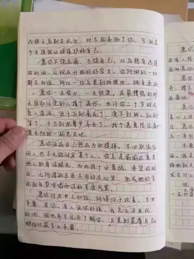 北京四中初二女孩作文火了:愿你走出半生,归来仍是少年.-第4张图片-四季读书网