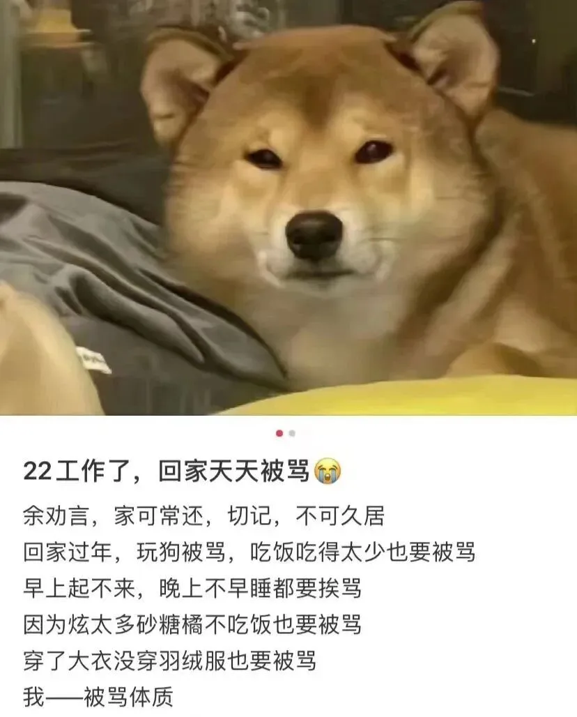 人家初二回娘家,浙江一小伙却想回单位……-第1张图片-四季读书网