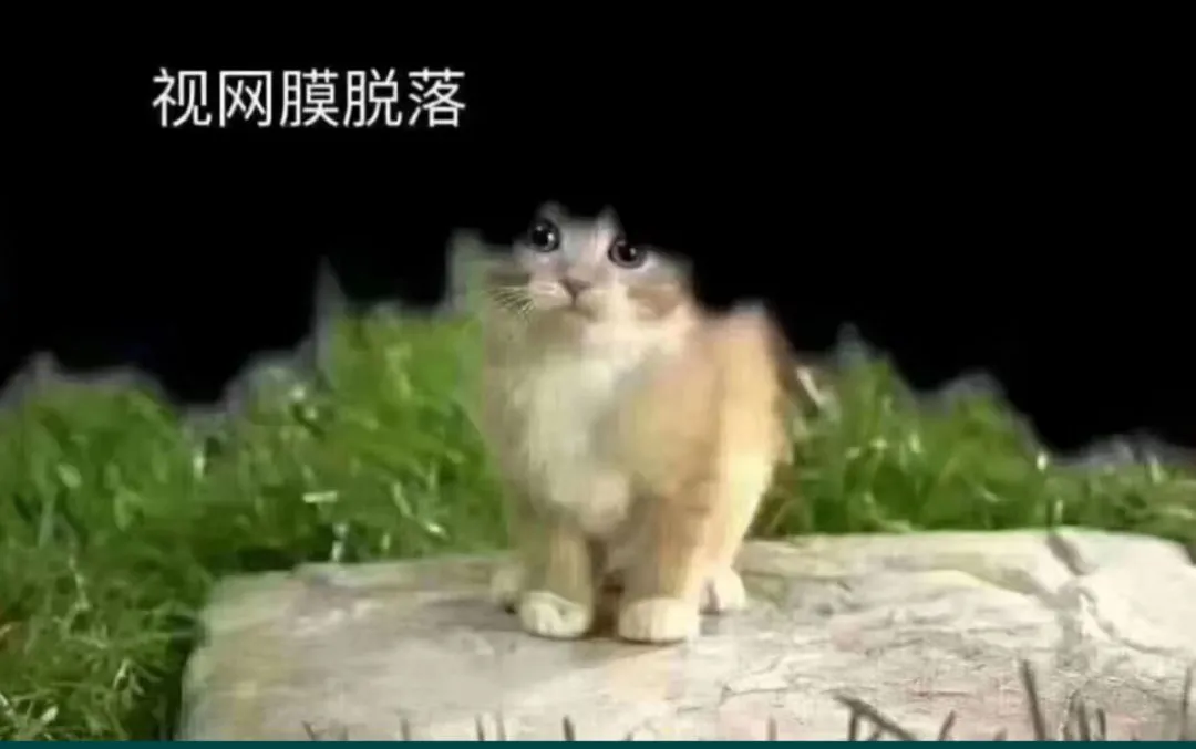 初二男生视网膜脱落,竟因这件小事,家长千万别大意!-第4张图片-四季读书网 初二男生视网膜脱落,竟因这件小事,家长千万别大意!-第4张图片-四季读书网