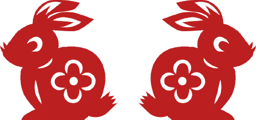人家初二回娘家,浙江一小伙却想回单位……-第33张图片-四季读书网