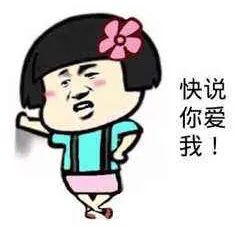 【初二快乐】阿斗来汇报情况啦!-第10张图片-四季读书网