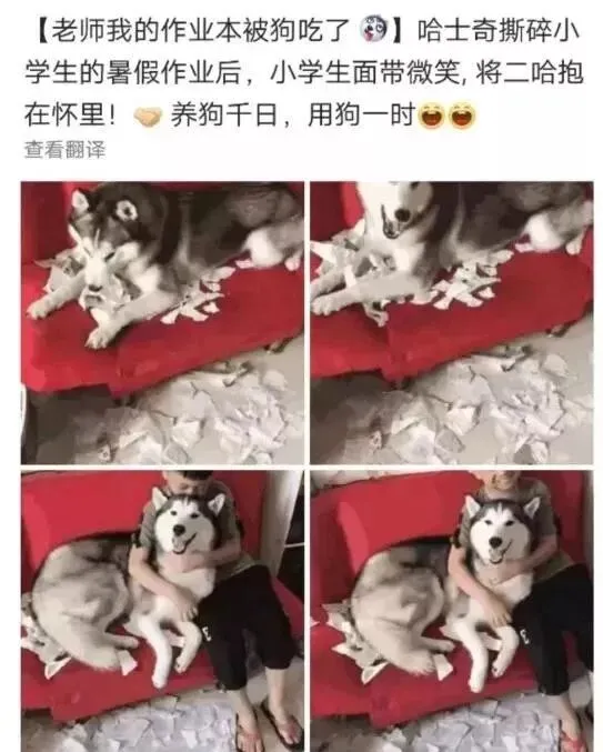初二女孩暑假作业走红,连人民日报都在转发!她的父母做对了什么?-第4张图片-四季读书网