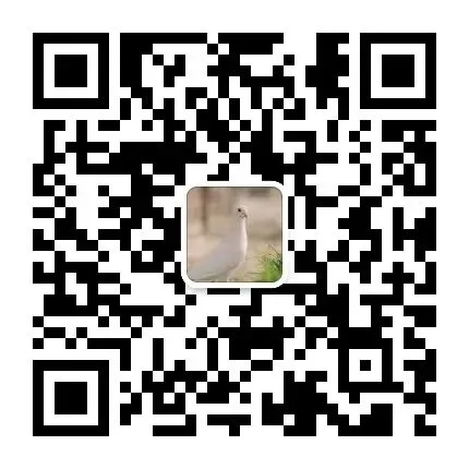 初二!是你翻盘逆袭的黄金一年-第5张图片-四季读书网