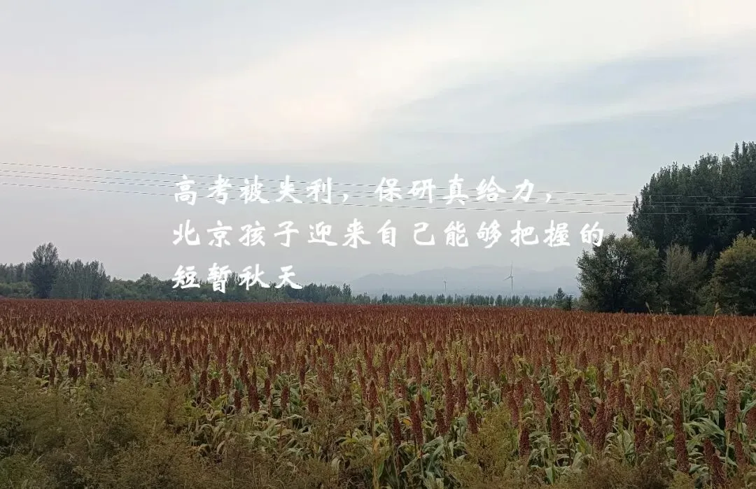 重返北京中考的只可能是历史题目,而真正的历史却是北京中考本身在十年之中变来变去-第3张图片-四季读书网