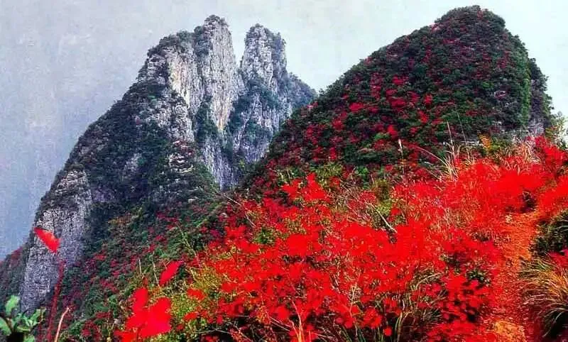 【备战中考】命题作文《美好,从未缺席》满分审题立意指导+高分范文-第1张图片-四季读书网