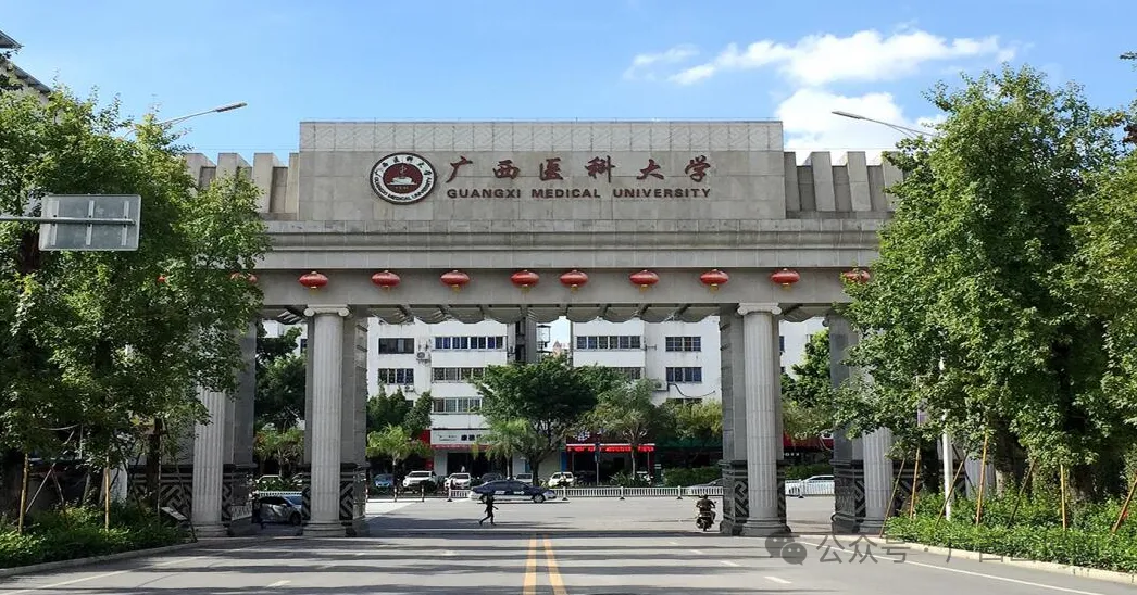 广西医科大学函授自考本科|学位英语真题练习题库-第3张图片-四季读书网