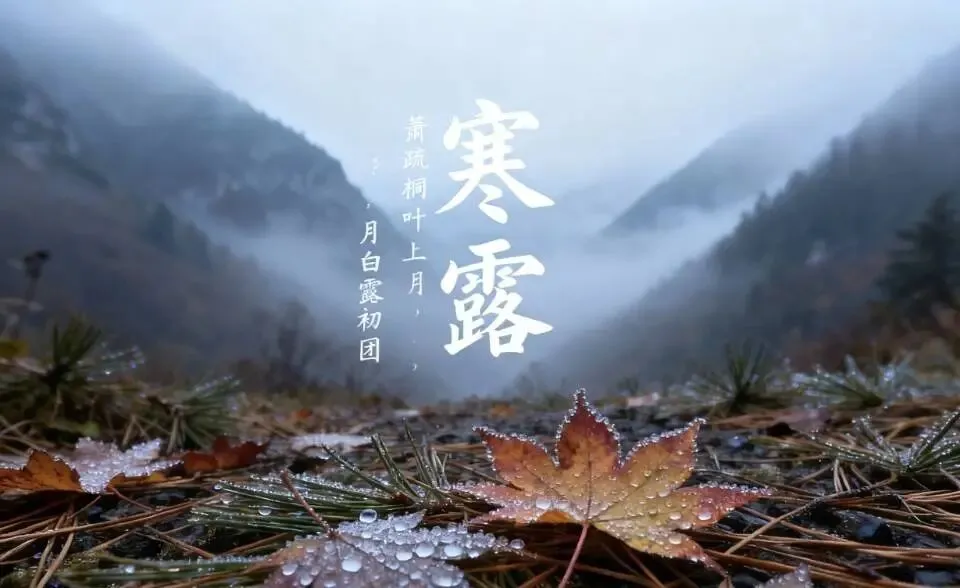 ＂初一寒露后,衣裳不晓顾;初一寒露前,雪大不见路＂,今年寒露在哪?-第5张图片-四季读书网