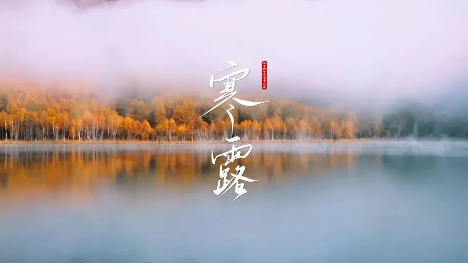 ＂初一寒露后,衣裳不晓顾;初一寒露前,雪大不见路＂,今年寒露在哪?-第6张图片-四季读书网