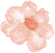 共研中考备考 同促课堂提质——来宾市第十中学到南宁市第十七中学开展第四期校际交流活动-第3张图片-四季读书网 共研中考备考 同促课堂提质——来宾市第十中学到南宁市第十七中学开展第四期校际交流活动-第3张图片-四季读书网