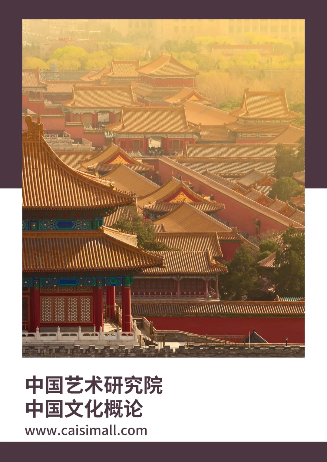 2025年中国艺术研究院非遗考研真题解析可以直接背(请说明非遗的“系统性”保护)-第15张图片-四季读书网