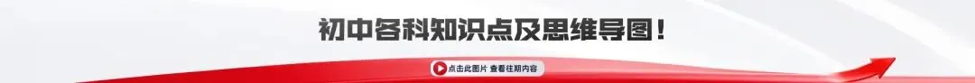 2025沈阳部分中学初一10月月考试卷及参考答案!【虹桥、南昌、杏坛】-第7张图片-四季读书网