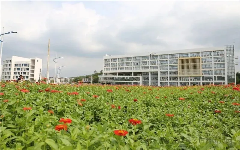 广西财经学院成人高考函授本科学历--申请学位的最新条件-第10张图片-四季读书网 广西财经学院成人高考函授本科学历--申请学位的最新条件-第10张图片-四季读书网