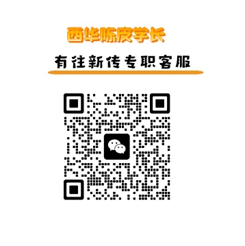 川外新传考研背诵指南(真题强化版):背什么、按什么顺序背、每天怎么安排?-第21张图片-四季读书网