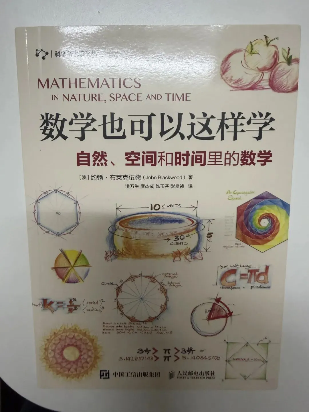 从初三视角看小学和初中的数学规划(以上海为例)-第2张图片-四季读书网