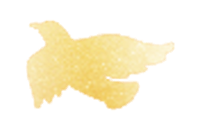 逐梦守少年初心 奋楫启青年新程——初三年级退队入团仪式-第43张图片-四季读书网
