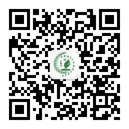 逐梦守少年初心 奋楫启青年新程——初三年级退队入团仪式-第45张图片-四季读书网